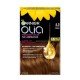 Garnier Olia Maximum Color боя за коса